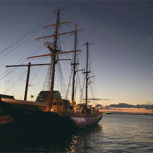 もりの風　2025年12月,2026年1月号