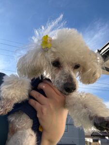 ギネス達成☆彡