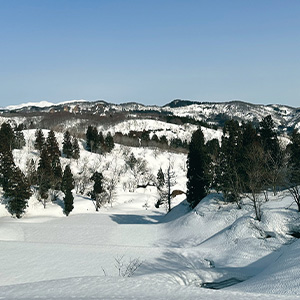 もりの風　2026年2月号