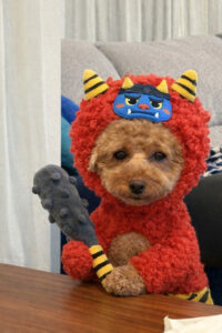 鬼は～外♪福は～内♪