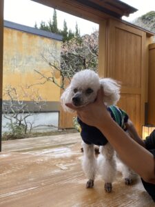 ギネス更新しました🎊