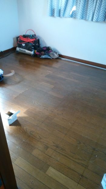 今日の慎吾ちゃん